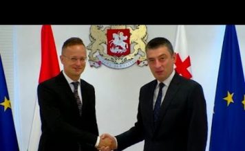 პანდემიის ფონზე საქართველოში პირველი ოფიციალური ვიზიტით უნგრეთის საგარეო საქმეთა მინისტრი ჩამოვიდა (06.07.2020)