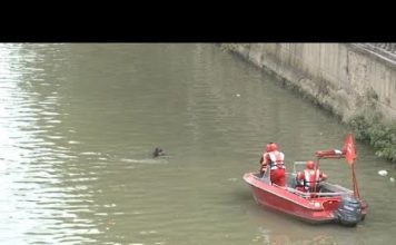 ბარ “ბაუჰაუსის” დაკარგული თანამშრომლების ცხედრები მაშველებმა მდინარე მტკვარში იპოვეს (17.08.2020)