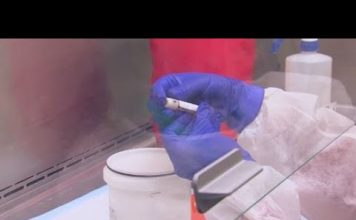 6 დაღუპული და 527 ინფიცირებული – კორონავისრუსით გარდაცვალების ყველაზე მეტი დღიური მაჩვენებელი | 09.10.2020