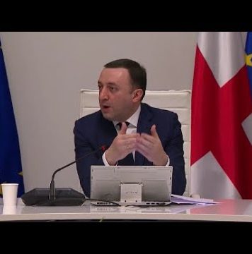 უმძიმესი ეპიდვითარების ფონზე ღარიბაშვილის ანტივაქსერული განცხადება მთავრობის სხდომაზე | 14.02.2022