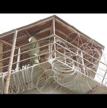 კრიმინალური სუბკულტურა ციხეებში – წამების პრევენციის ევროპული კომიტეტის მონიტორინგი | 11.07.2022