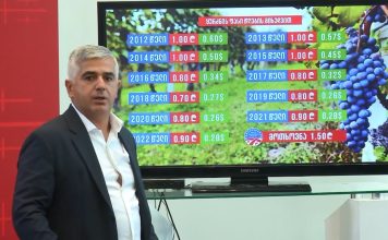 “ქართული ოცნების ხელისუფლება ყურძენზე ფასებს პირადი ინტერესებიდან გამომდინარე აწესებს” | 15.08.2022