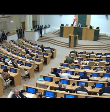 პოლიტიკური განცხადებები სესიაზე | 20.09.2022