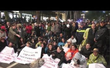 აქონდროპლაზიის დიაგნოზის მქონე ბავშვების დედების მოთხოვნა უცვლელია | 24.04.2023