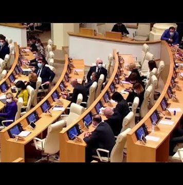 მწვავე პოლიტიკური განცხადებები პლენარულ სხდომაზე | 30.05.2023