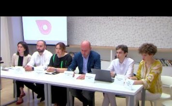 როგორ ასრულებს საქართველო ევროკომისიის 12 რეკომენდაციას – არასამთავრობოების შეფასება | 01.08.2023