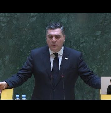 ჩინეთთან პოლიტიკური თანამშრომლობა – დეპუტატების შეკითხვები საგარეო საქმეთა მინისტრს | 20.10.2023