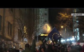 “ადამიანის უფლებათა ცენტრი” შეკრებებისა და მანიფესტაციების მონიტორინგის ანგარიშს აქვეყნებს | 22.01.2024